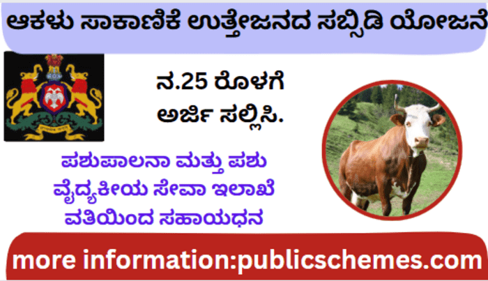 Govt Scheme – Application Invitation for Cow Farming Promotion Subsidy Scheme, Apply by Nov 25.